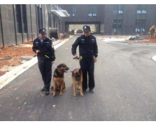 警犬护卫